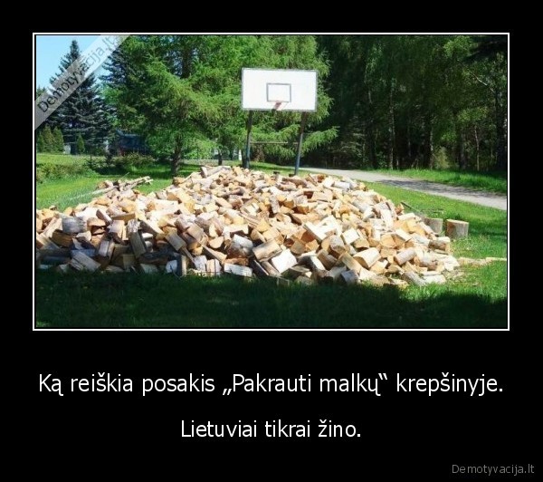 gauti, malku, krepsinyje