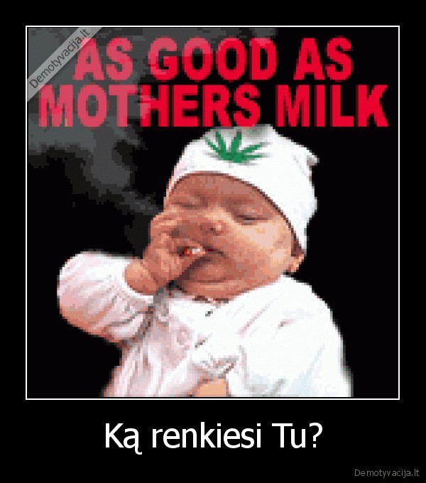 Ką renkiesi Tu?