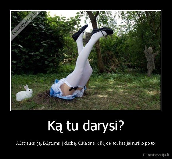 Ką tu darysi?