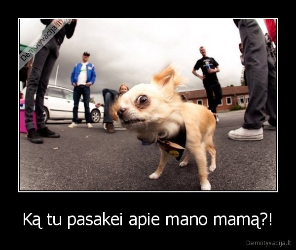 mama, mamos, diena