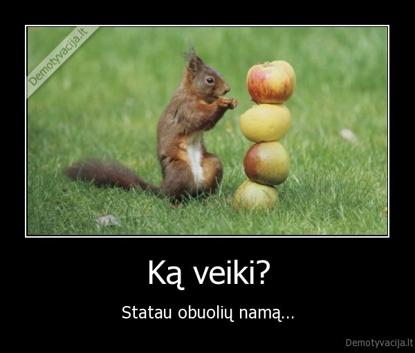 myliu,voveres