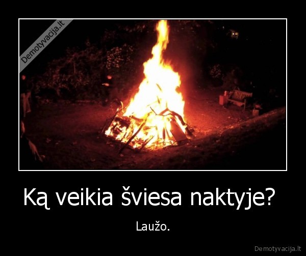 sviesa,naktis,lauzas,medis