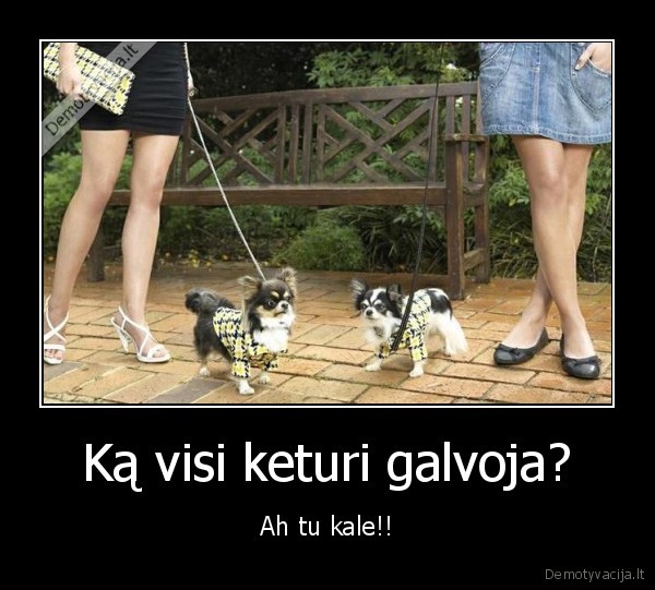 Ką visi keturi galvoja?