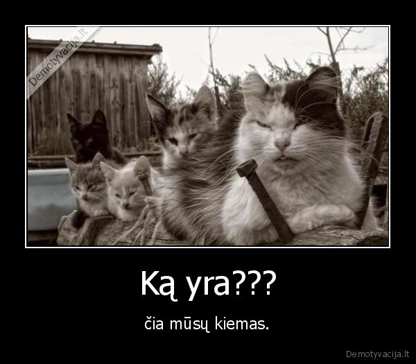 Ką yra???