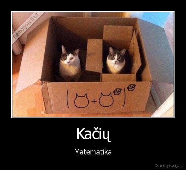 kates,dezes