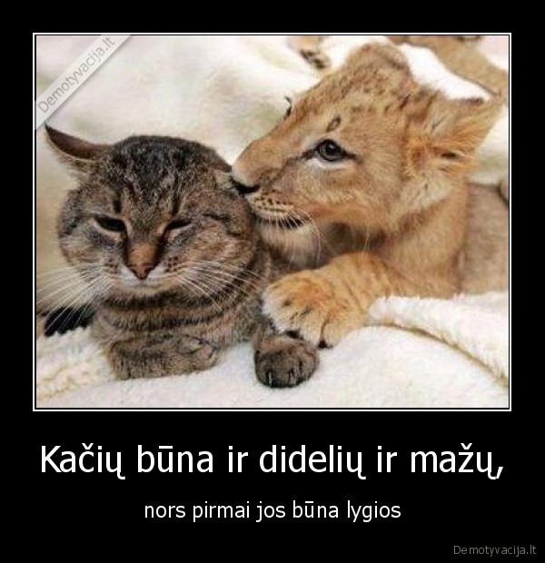 Kačių būna ir didelių ir mažų,