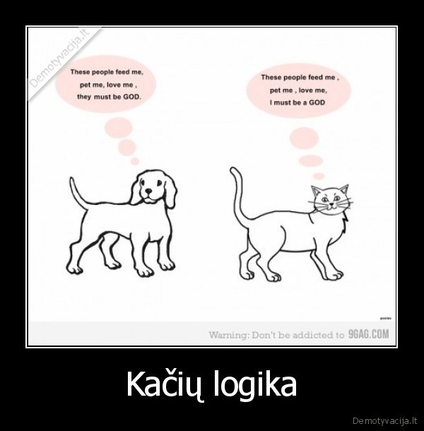 suo, da, best,kate, suka