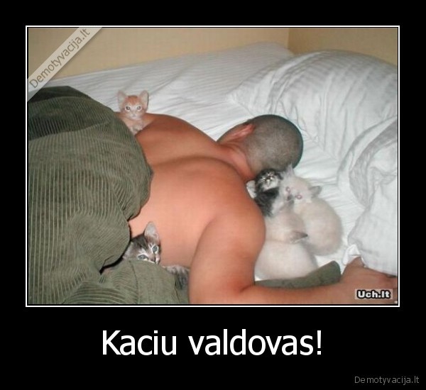 kates, kaciu, valdovas