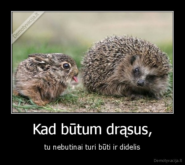 Kad būtum drąsus,