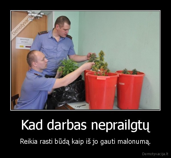 zole,milicija,darbas