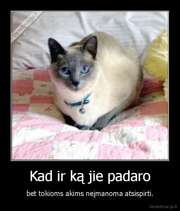 Kad ir ką jie padaro