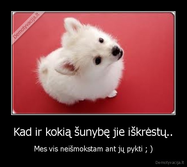 Kad ir kokią šunybę jie iškrėstų..