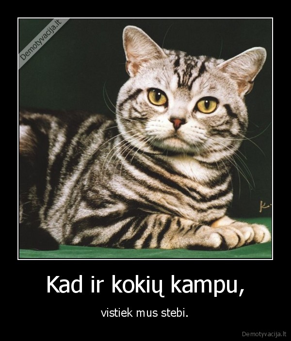 Kad ir kokių kampu,
