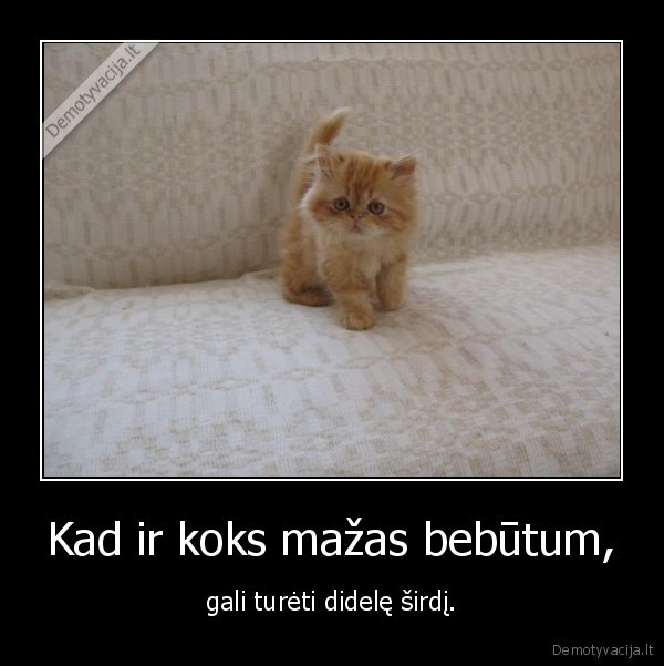 Kad ir koks mažas bebūtum,