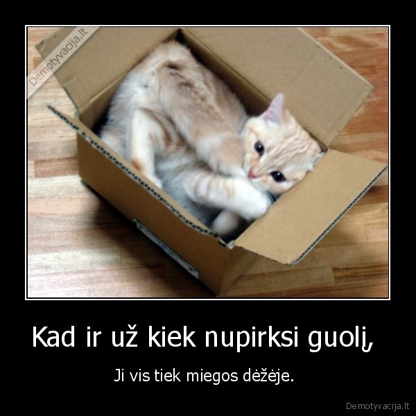 deze,kate