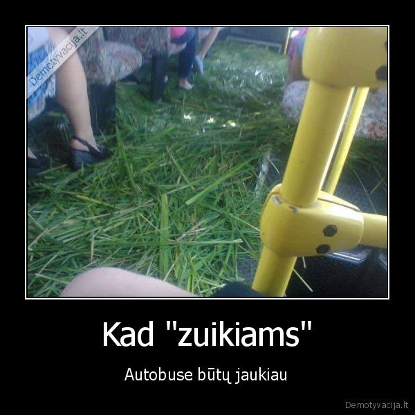 zuikiai,be, bilieto,zole, autobuse