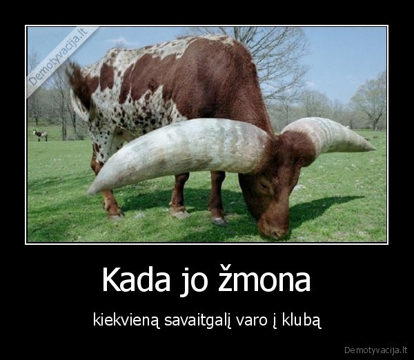 klubas,vyras,zmona