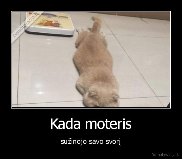 svoris