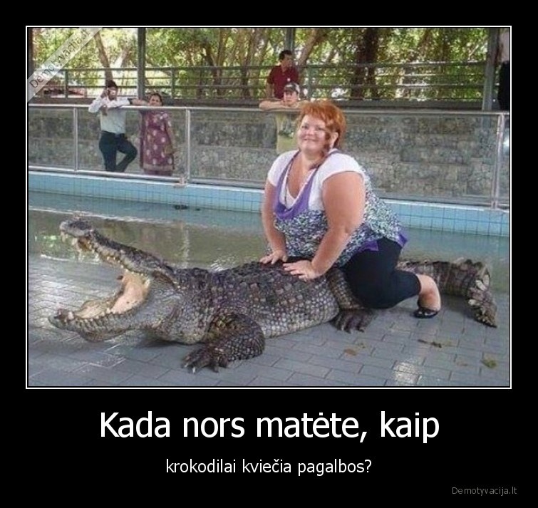krokodilas,vargsas