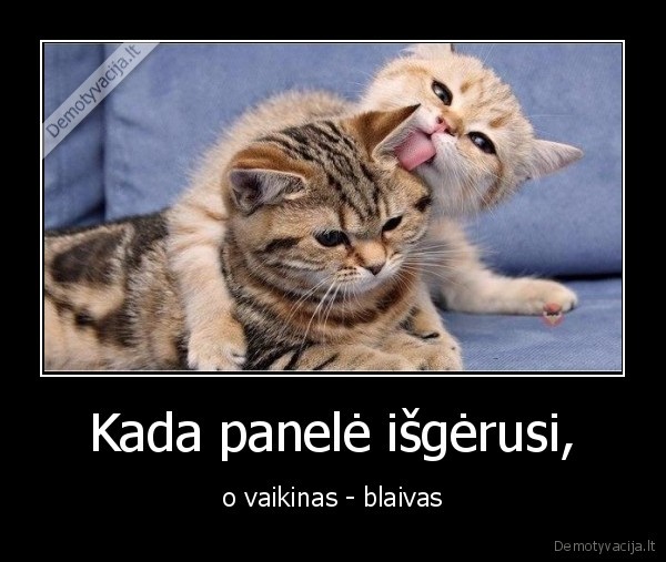 Kada panelė išgėrusi,