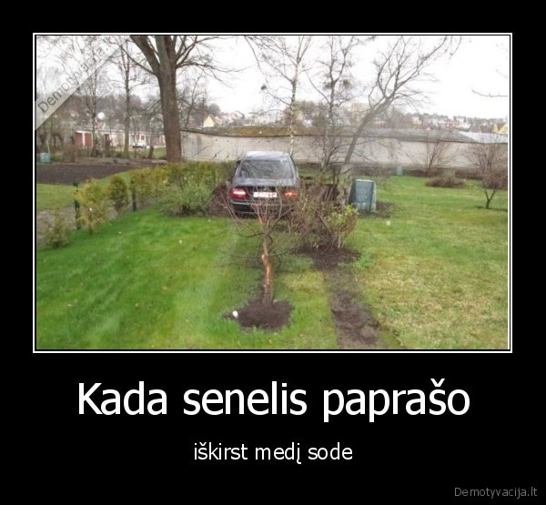 sodas,medis,bmw