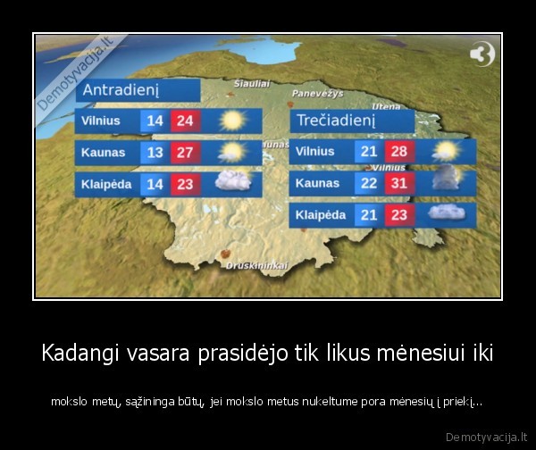 mokslo, metai,vasara