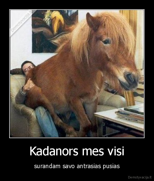 Kadanors mes visi