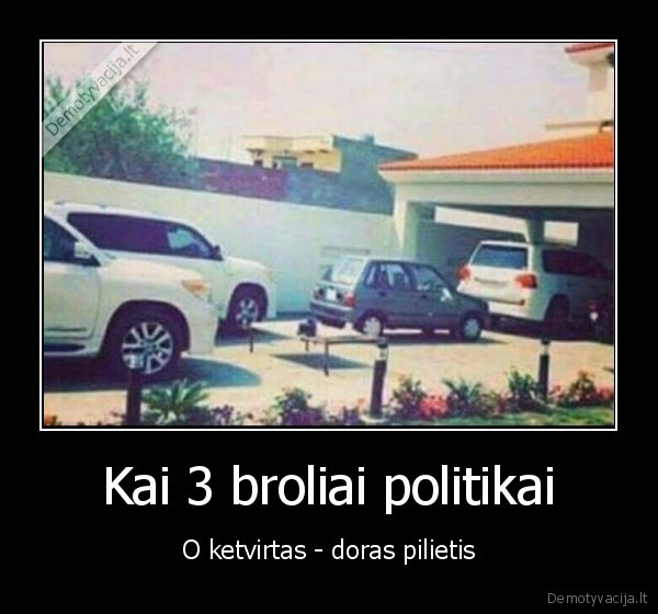 politikai,vagys