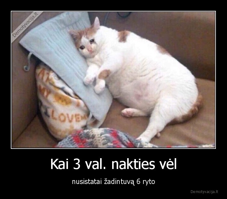 zadintuvas,miegas,naktis,rytas