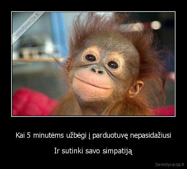 simpatiska, bezdzione,be, makiazo