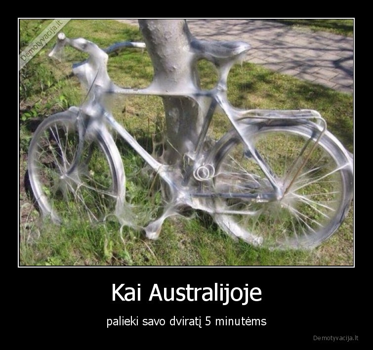australija,vorai,dviratis
