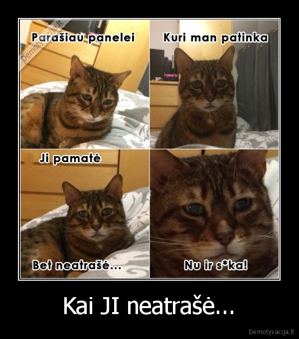parasyti,neatrase