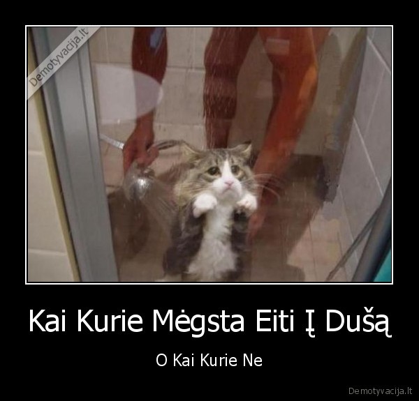 miau, miau
