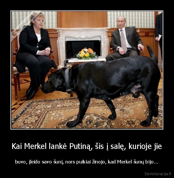 vladimiras, putinas,putino, suo
