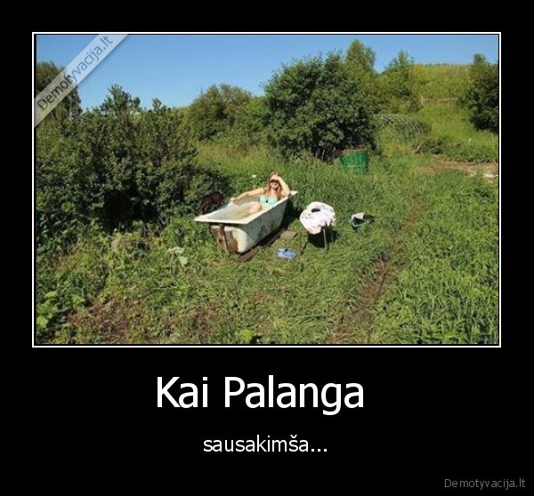 Kai Palanga 