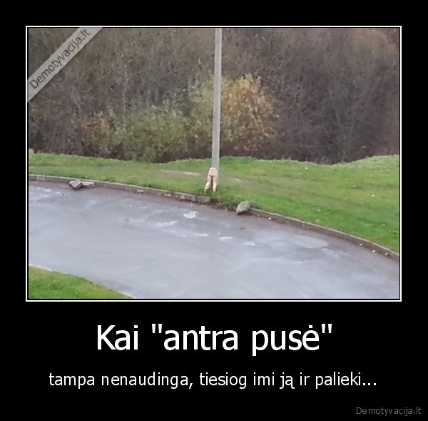 lele