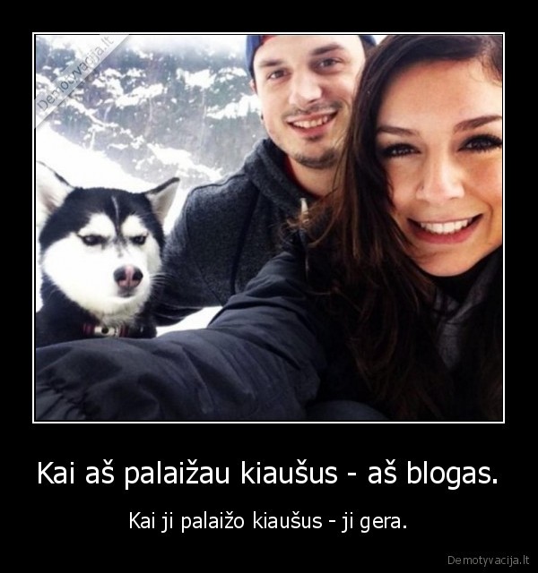 suo,haskis,mergina,vaikinas,kiausai,laizymas