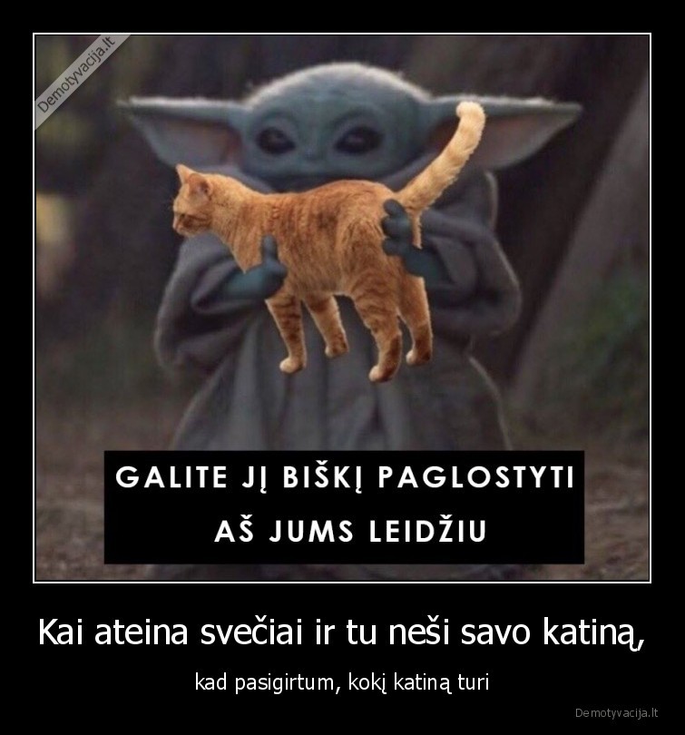 katinas,sveciai