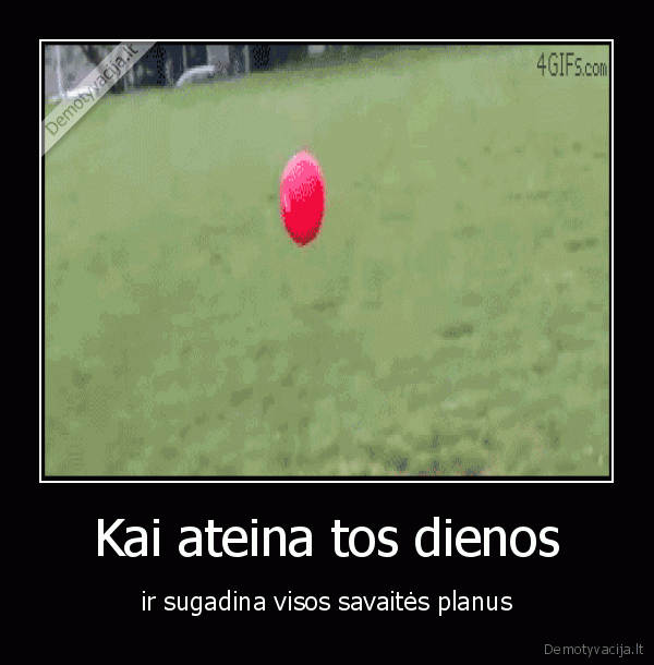menesines
