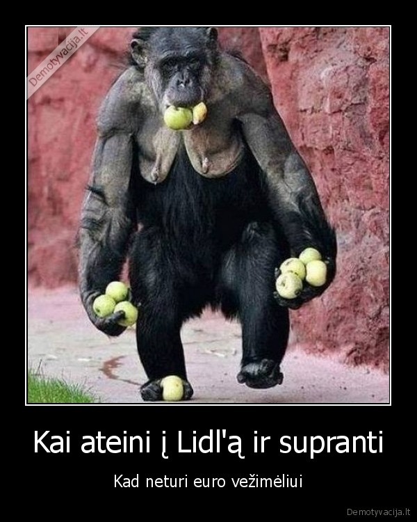 lidl,nera, krepsio,nesa, prekes