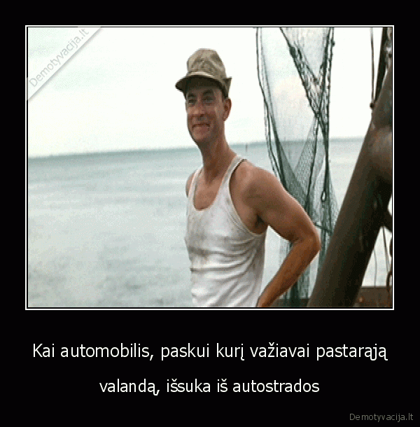 forestas, gampas,automobilis,autostrada
