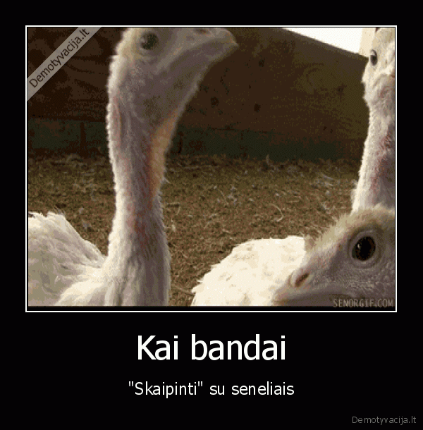 skype,seneliai, per, kamera