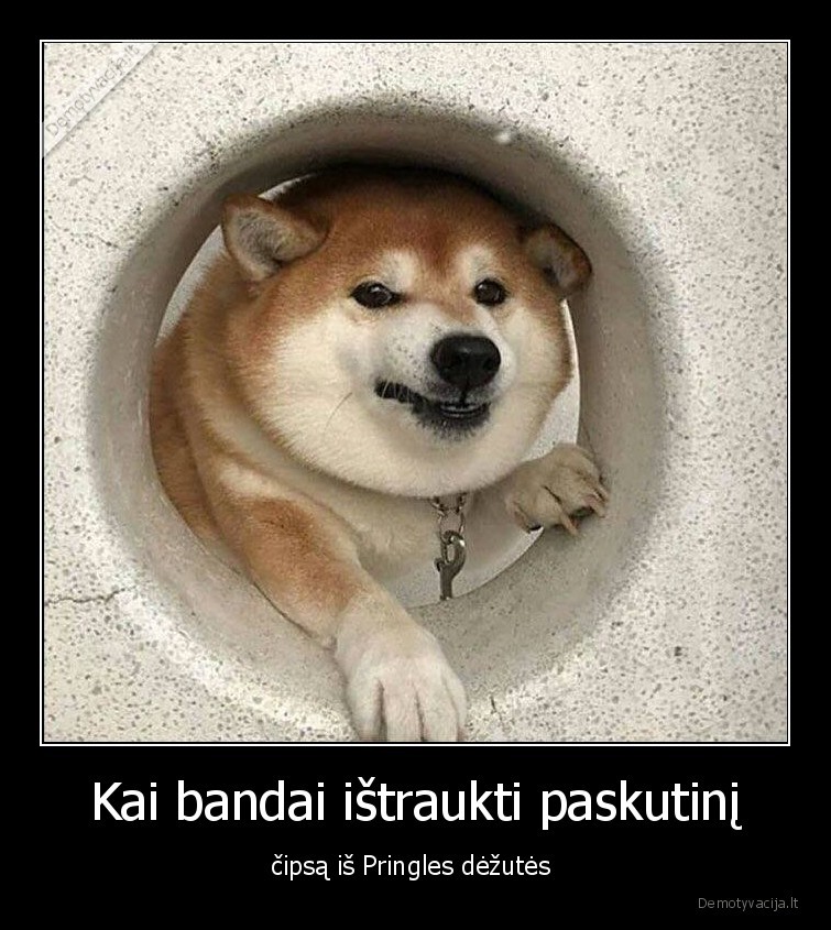cipsai,pringles,paskutinis