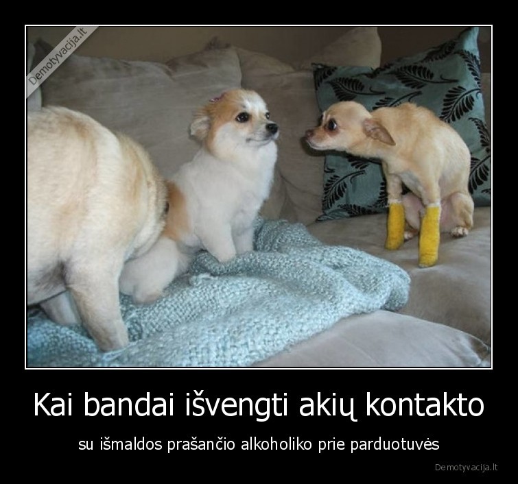 kontaktas,akiu,benamis,alkoholikas