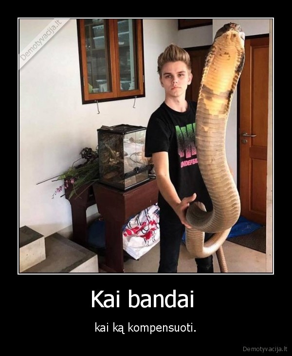 gyvate,penis,kompensavimas