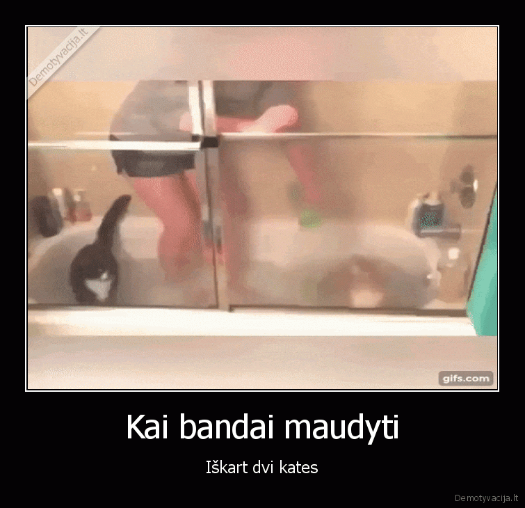 maudynes, su, katemis