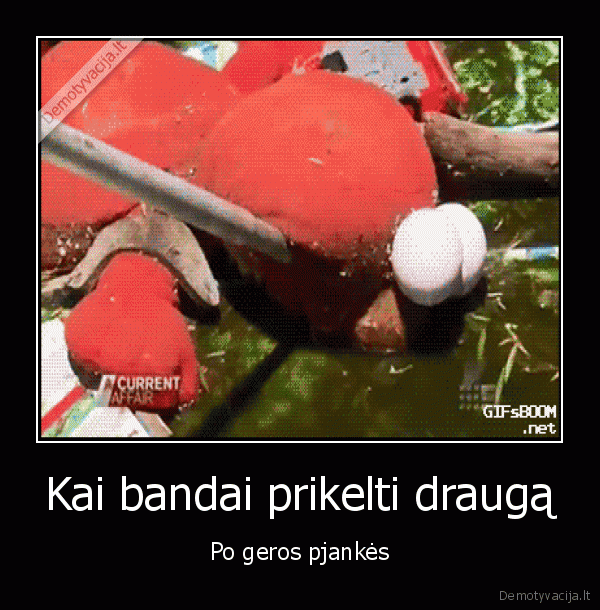 girtas,mapetas