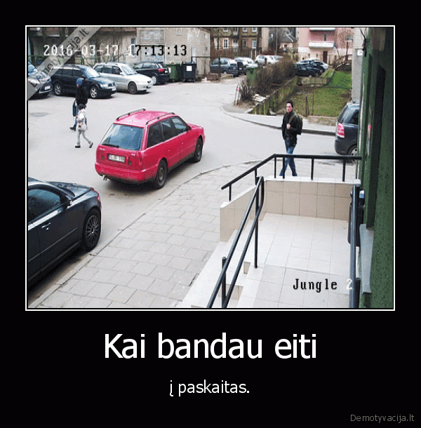 mokslo, saknys, karcios,vaisiai, saldus