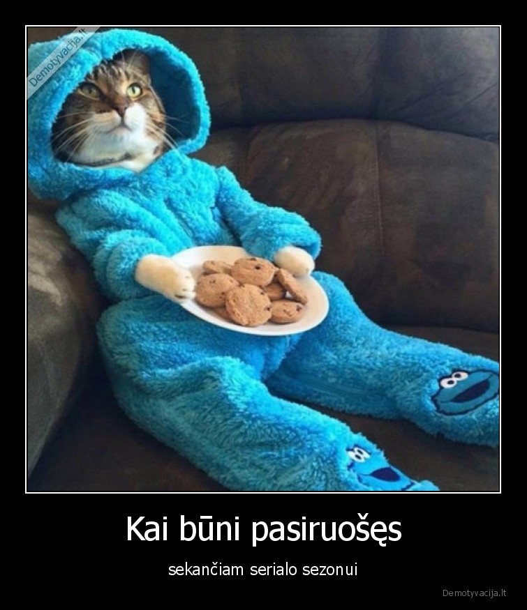 serialas,sezonas,ziuri,katinas