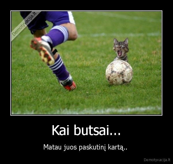Kai butsai...